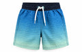 Blue Ombré Boys Swim Shorts